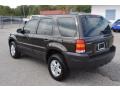 2007 Dark Stone Metallic Ford Escape XLS  photo #3