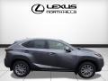 Nebula Gray Pearl - NX 200t AWD Photo No. 2