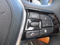 Cognac Controls Photo for 2018 BMW 5 Series #123472210