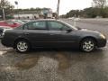 Polished Pewter Metallic - Altima 2.5 S Photo No. 6