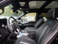 Black 2018 Ford F150 Platinum SuperCrew 4x4 Interior Color