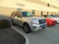 2017 Ingot Silver Ford Expedition XLT 4x4  photo #2