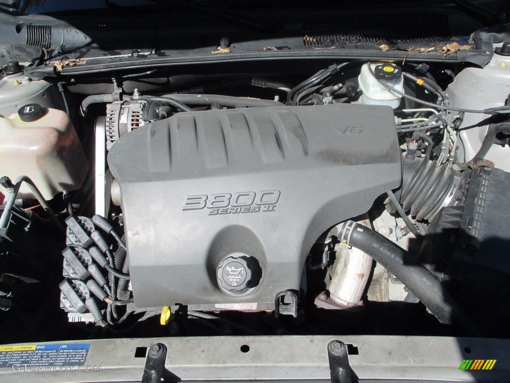 2004 LeSabre Custom - Platinum Metallic / Medium Gray photo #21