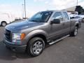 Ingot Silver - F150 STX SuperCab Photo No. 1