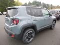 2017 Anvil Jeep Renegade Trailhawk 4x4  photo #5