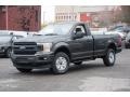 Magnetic - F150 XL Regular Cab 4x4 Photo No. 1