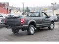 2018 Magnetic Ford F150 XL Regular Cab 4x4  photo #3