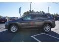 Granite Crystal Metallic - Cherokee Latitude Plus Photo No. 4