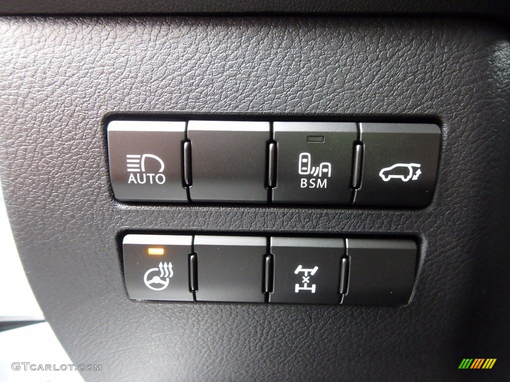 2018 Lexus NX 300 F Sport AWD Controls Photo #123530900