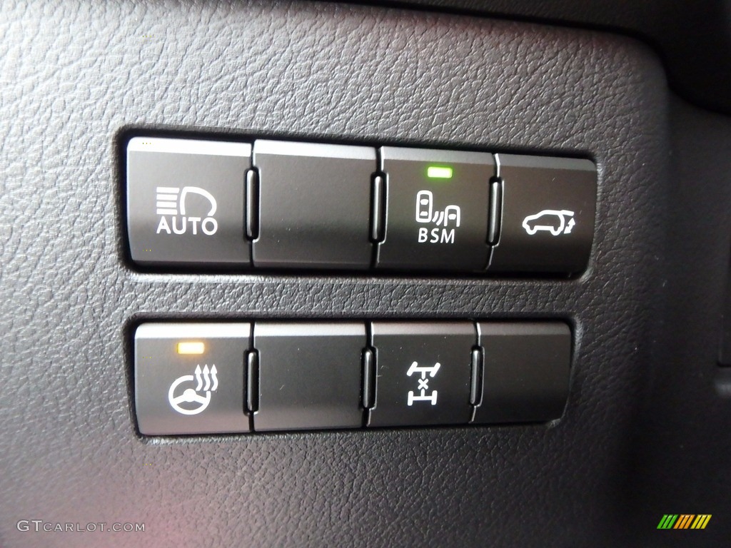 2018 Lexus NX 300 AWD Controls Photo #123531221