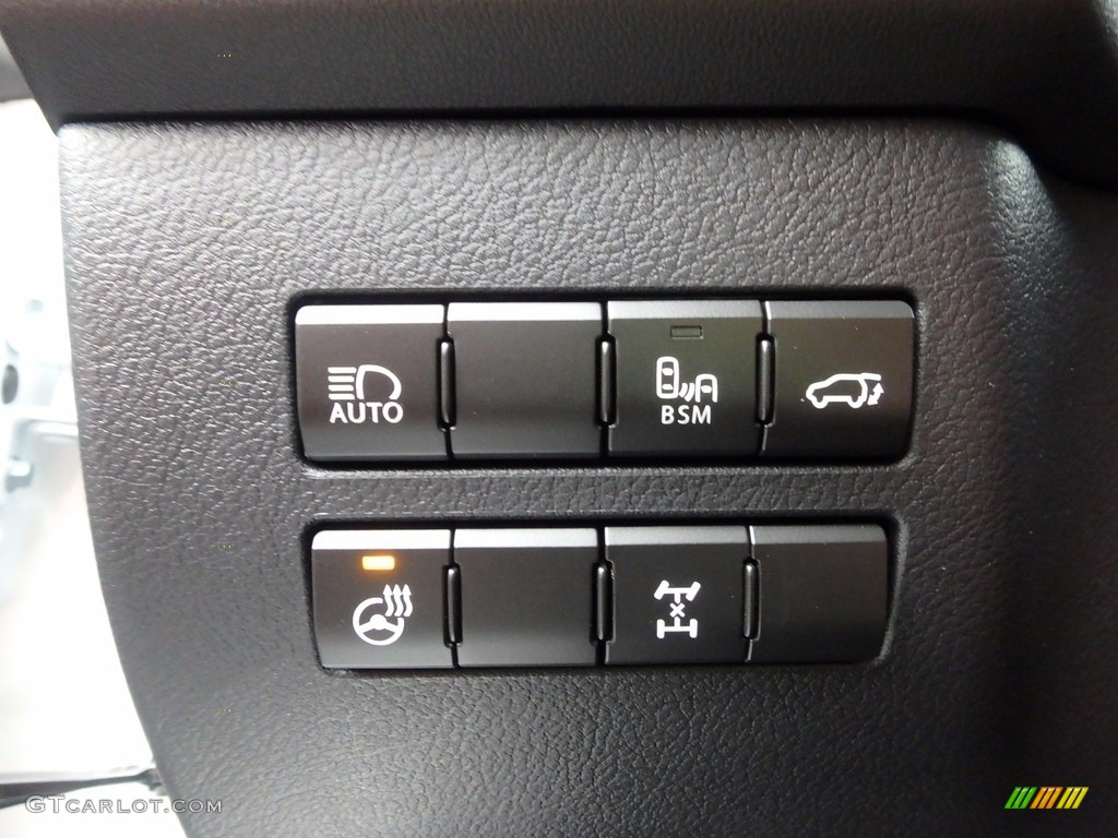 2018 Lexus NX 300 AWD Controls Photo #123531527