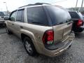 2006 Sandstone Metallic Chevrolet TrailBlazer LS 4x4  photo #2