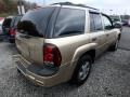 2006 Sandstone Metallic Chevrolet TrailBlazer LS 4x4  photo #4