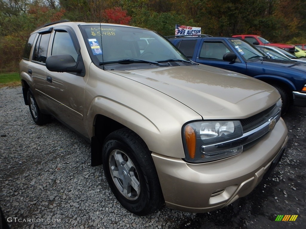 2006 TrailBlazer LS 4x4 - Sandstone Metallic / Light Cashmere/Ebony photo #5