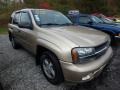 2006 Sandstone Metallic Chevrolet TrailBlazer LS 4x4  photo #5