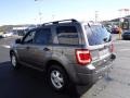 2010 Sterling Grey Metallic Ford Escape XLT 4WD  photo #9