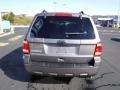 2010 Sterling Grey Metallic Ford Escape XLT 4WD  photo #11