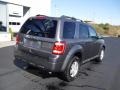 2010 Sterling Grey Metallic Ford Escape XLT 4WD  photo #12