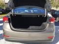 2016 Desert Bronze Hyundai Elantra SE  photo #21