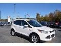 White Platinum 2014 Ford Escape SE 1.6L EcoBoost
