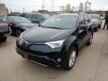 Galactic Aqua Mica 2018 Toyota RAV4 Platinum AWD