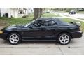 Black 1998 Ford Mustang Gallery