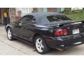 Black - Mustang SVT Cobra Convertible Photo No. 9