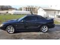 Black - Mustang SVT Cobra Convertible Photo No. 19