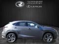 Nebula Gray Pearl - NX 300 AWD Photo No. 2