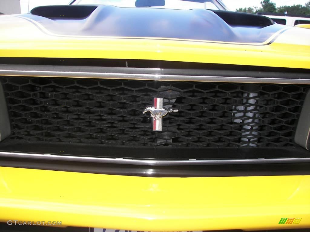 1973 Mustang Convertible - Medium Bright Yellow / Medium Ginger photo #16