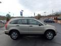 Borrego Beige Metallic - CR-V LX Photo No. 9