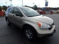 2007 Borrego Beige Metallic Honda CR-V LX  photo #10