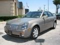 Radiant Bronze - CTS Sedan Photo No. 3