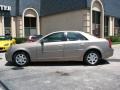Radiant Bronze - CTS Sedan Photo No. 4