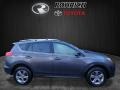 Magnetic Gray Metallic - RAV4 XLE Photo No. 2