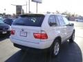 Alpine White - X5 3.0i Photo No. 4