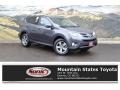 Magnetic Gray Metallic - RAV4 XLE Photo No. 1