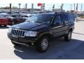 2004 Brillant Black Crystal Pearl Jeep Grand Cherokee Limited 4x4  photo #3