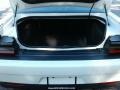 White Knuckle - Challenger R/T Scat Pack Photo No. 10