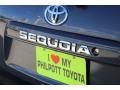 2018 Magnetic Gray Metallic Toyota Sequoia SR5  photo #8