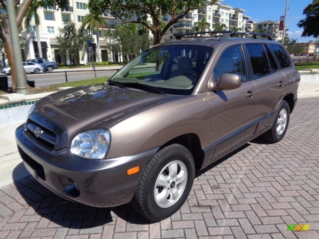 2006 Santa Fe GLS - Mocha Frost / Beige photo #1
