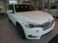 Alpine White - X5 xDrive35i Photo No. 1
