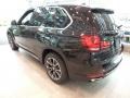Black Sapphire Metallic - X5 xDrive35i Photo No. 2