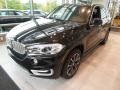Black Sapphire Metallic - X5 xDrive35i Photo No. 3