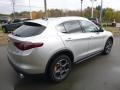 Silverstone Gray Metallic - Stelvio AWD Photo No. 7