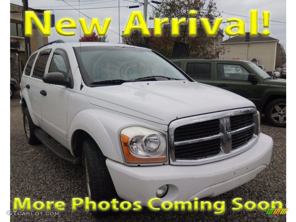 2004 Durango SLT 4x4 - Brilliant Silver Metallic / Medium Slate Gray photo #1