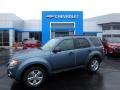 Steel Blue Metallic 2010 Ford Escape XLT V6 4WD