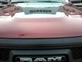 2018 Delmonico Red Pearl Ram 2500 Power Wagon Crew Cab 4x4  photo #24