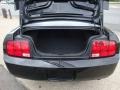 Black - Mustang V6 Deluxe Coupe Photo No. 6