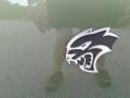 2018 Dodge Charger SRT Hellcat Badge and Logo Photo